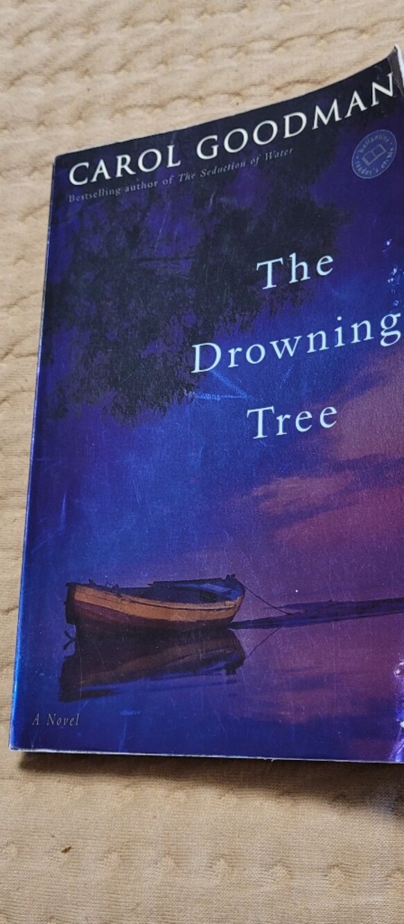 💚10 for $10💚 Bundle and save Novel, The Drowning Tree